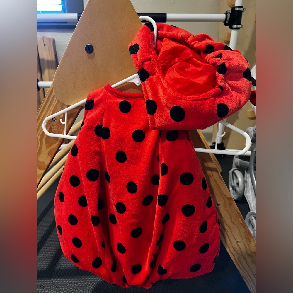 Ladybug Halloween Costume Toddler 12-24 Months
